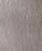 419503_deepstone_oyster_2