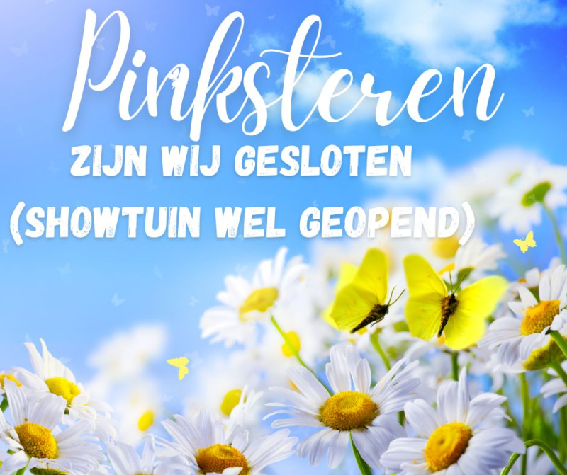 pinksteren-2026