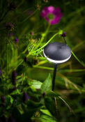 In-Lite SWAY Black