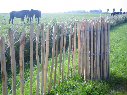 Kastanje hekwerk lat 8 cm 150x460 cm