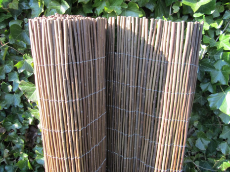Wilgenmat Concour 200x300 cm