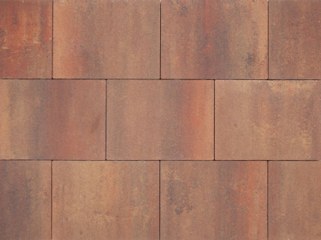 Redsun Demiton extra xs 30x60x5cm capiche (restantpartij)