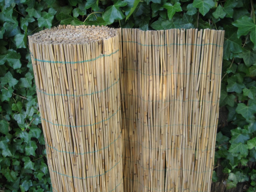 Rietmat Donau 100x600 cm