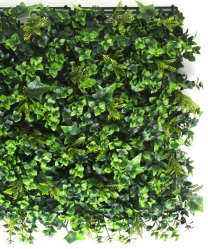 Easygreen Hydrangea mix 3