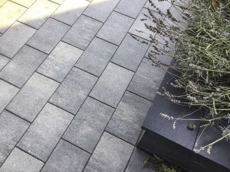 Redsun Premiton linea xl 20x30x8cm lanzarote
