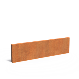 Paneel Wand  CorTen 2mm 400x15x100 cm