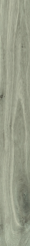 Keramiek Jurupa 120x30x2 Cool JP02