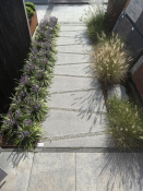 schellevis oud hollands trapezium